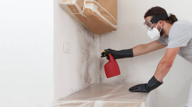 Professional Mold Removal technician working in Kingsley, MI