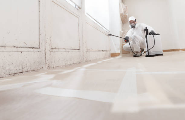 24/7 Emergency Mold Removal experts in Kingsley, MI